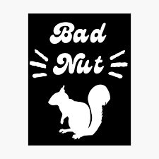 Squirrel Lover | Bad Nut | Willy Wonka | Squirrel Design