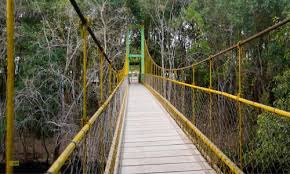 Coorg to Mangalore taxi ride