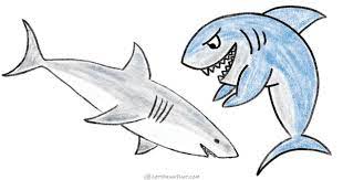 First, we sketch out the outlines of the shark's body. How To Draw A Shark One Simple And One Cartoon Style Let S Draw That