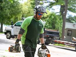 Tree Removal in Petoskey, MI
