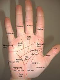 Palm Lines And Palmistry How Does It Work In 2020 Palmistry Palm Lines Palm Reading Charts