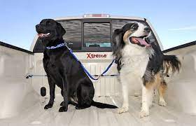 Thanks again for your question. Pick Up Pal Dog Leash Dogs Dog Crate