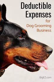 Deductible Expenses For Dog Grooming Starting A Grooming Business Tips Business Bigez Com Dog Grooming Business Pet Grooming Business Dog Grooming