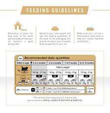 Royal canin hair & skin digunakan untuk menghindari kucing dari masalah bulu yang rontok. Royal Canin Kitten Persian Makanan Anak Kucing Persia 400gr