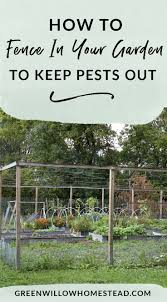 How to keep pests from garden. How To Fence In Your Vegetable Garden To Keep Pests Out Organicgardening Beginnergardener Vegetablegardeni Garden Pest Control Slugs In Garden Garden Pests