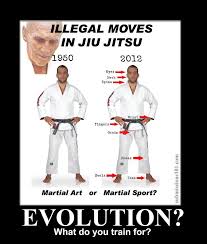 Jiujitsu Rules Evolution Jiu Jitsu Martial Arts Martial Arts Workout