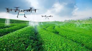 Agriculture digitisation not only for controls, stakeholders ...