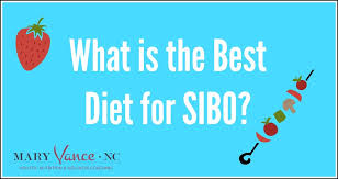 What Is The Best Diet For Sibo Mary Vance Nc