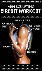 6 Best Exercises For Arm Definition At Home Good Arm Workouts Exercise Arm Workout