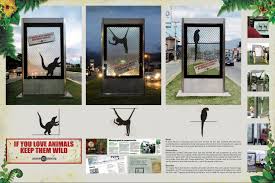 If You Love Animals Keep Them In The Wild Campaign Presentation Board Cannes Lions Animals