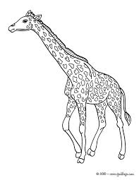 Check spelling or type a new query. Coloriage Girafe Les Beaux Dessins De Animaux A Imprimer Et Colorier Coloriage 7