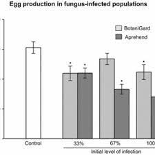 Find pest control companies with the highest customers' rating. Pdf Insect Pathogenic Fungi And Bed Bugs Behaviour Horizontal Transfer And The Potential Contribution To Ipm Solutions