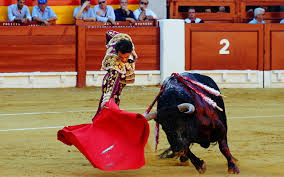 Der artikel wird gebraucht, wenn „spanien in einer bestimmten qualität, zu einem bestimmten zeitpunkt oder zeitabschnitt als subjekt oder objekt im satz steht. Bakgrunnsbilder Til Skrivebordet Okse Spania Menn Matador Dyr