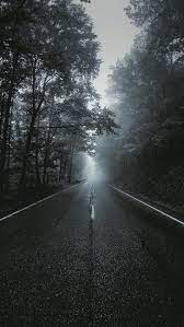 Asphalt Road Portrait Display Vertical Landscape Tree Transportation Hd Wallpaper Landscape Vertical Landscape Asphalt Road