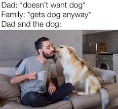 No Dogs On The Couch Dad Memes