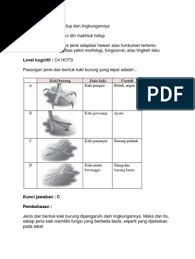 Sebutkan dan jelaskan secara singkat! Soal Hots Penyesuaian Diri Makhluk Hidup Soal Sekolah