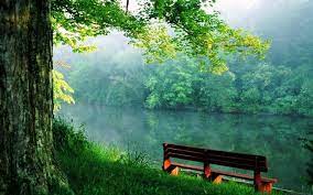 Tranquillity Google Search Nature Desktop Hd Nature Wallpapers Nature Desktop Wallpaper