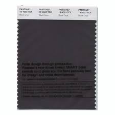 Pantone 19 4003 Tcx Swatch Card Black Onyx