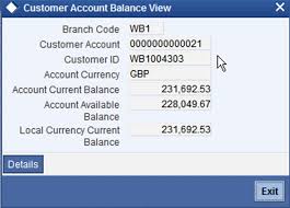 It can be thought of as the quantity of funds available for withdrawal. 4 Customer Accounts