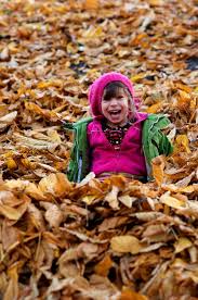 Jumping In The Leaves In 2020 Fall Leaves Pictures Fall Photos Kids Fall Pictures