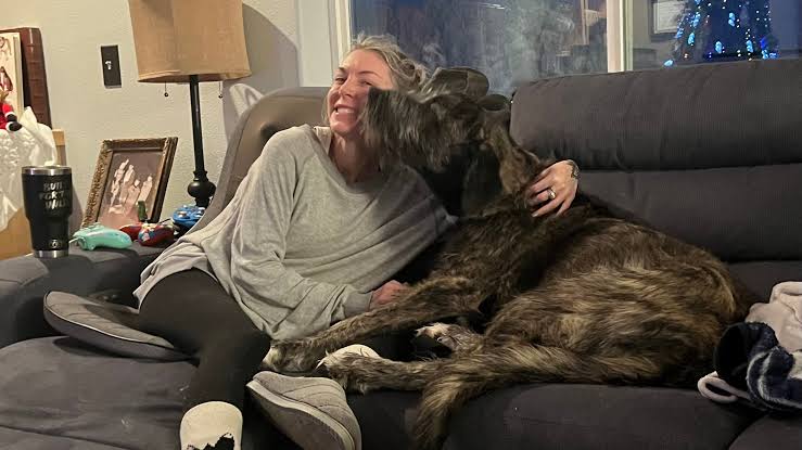 Body of woman who jumped in icy waters to rescue dog found months later