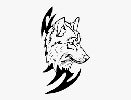 In the starting step of drawing a wolf, set your drawing paper on the drawing board. White Wolf Clipart Carnivore Wolf Head Wolf Colouring Ins Hd Png Download Kindpng