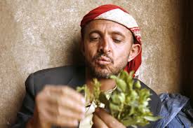 How Yemen Chewed Itself Dry