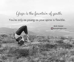 50 Inspirational Yoga Quotes Sayings Sayingimages Com Yoga Quotes Yoga Inspiration Quotes Yoga Inspiration
