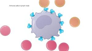 Current vaccines were designed around earlier variants, but scientists believe they should still work against the new ones, although perhaps not quite as well. Moderna S Work On Our Covid 19 Vaccine Moderna Inc
