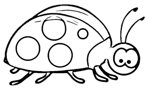 Ugurbocegi Boyama Sayfasi Hayvan Boyama Sayfalari Boyama Sayfalari Hayvan