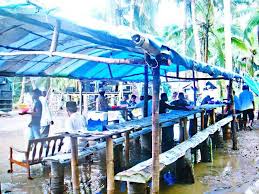 Anda hanya perlu membuka aplikasi ini dan membiarkan pelbagai jenis lagu dimainkan. Melayu Pesisir Sarawak Terjemah Kemurahan Hati Melalui Hidangan Kenduri Cikgu Emmet Menulis