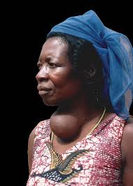 2017 IGN Annual Report