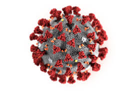 Dedicated to people who live in the hastings community, or want to move to hastings, minnesota. Coronavirus Testing In Minnesota What You Should Know Northfield Hospital Clinics