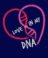 Love Is In My Dna Love Genetic Tshirt By Bucksworthy Dna Love Valentines Shirt