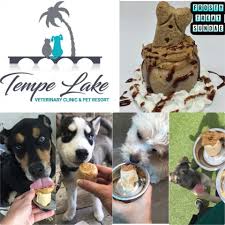 We encourage every pet owner we serve to have a regular vet for your dogs and cats for vet services beyond the scope of our nonprofit clinic. Tempe Lake Veterinary Clinic Pet Resort 1211 E Curry Rd Tempe Az Veterinarians Mapquest