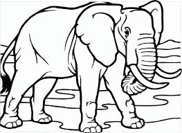 Gambar gambar gajah untuk mewarnai terbaik download now mewarnai g. Gambar Mewarnai Hewan Gajah Download Kumpulan Gambar