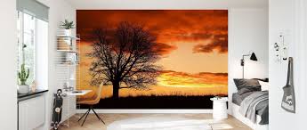 If you're looking for the best sunset wallpaper then wallpapertag is the place to be. Tree In Sunset Affordable Wall Mural Photowall