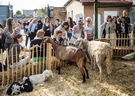 We did not find results for: Design Academy Eindhoven S Milan Exhibition Has A Petting Zoo
