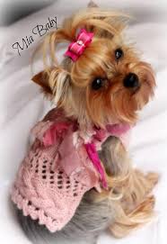 This Item Is Unavailable Dog Sweater Knit Alpaca French Braid