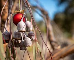 Learn how christmas is celebrated in australia. Your Ultimate Christmas Travel Checklist Greyhound Australia