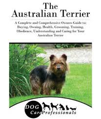 Mum is a red cattle dog and dad is a red cattle dog, bull terrier cross. The Australian Terrier Buy The Australian Terrier Online At Low Price In India On Snapdeal