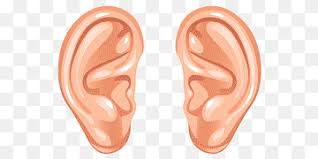 Telinga besar gambar karakter kartun lucu gambar ppt. Hearing Png Images Pngwing