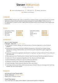 pl sql developer resume sample cv
