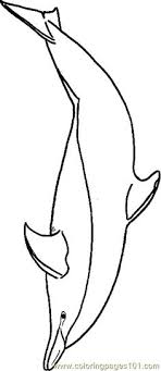 Make a coloring book with the dolphin winter for one click. 13 Dolphin Coloring Pages Ideas Dolphin Coloring Pages Coloring Pages Dolphins
