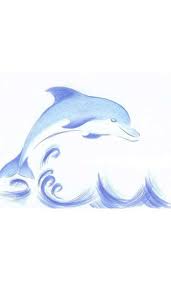 How To Draw A Dolphin Dolphin Drawing Diy Canvas Art Painting Dolphins