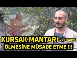 Kursak Mantari Belirtileri Muhabbet Kusu Youtube