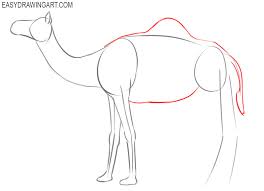 A camel is a very strange but at the same time very useful animal for a human being. How To Draw A Camel Easy Drawing Art