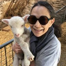 CurmudgeonTravel (@CurmudgeonTrips)