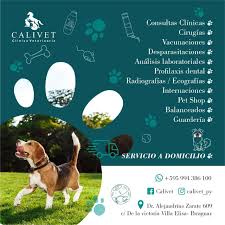 VETERINARIA CALIVET