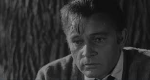 Who's Afraid of Virginia Woolf : monologue de George